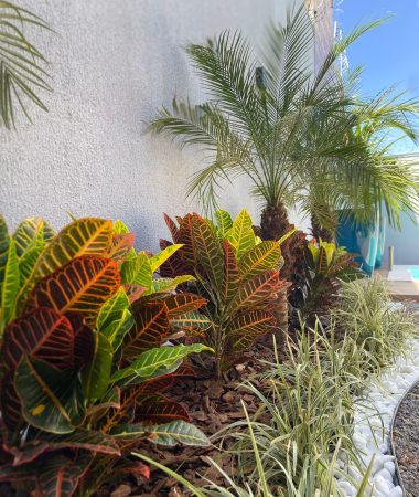 WhatsApp Image 2023-05-26 at 07.15.49 (1)