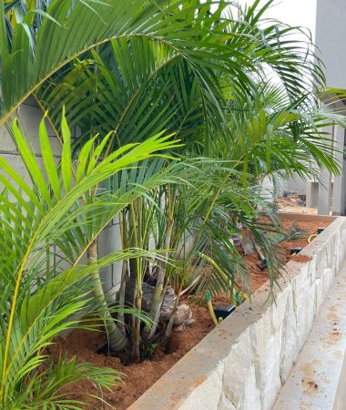 WhatsApp Image 2023-05-26 at 07.15.51