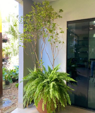 WhatsApp Image 2023-05-26 at 07.15.52 (1)