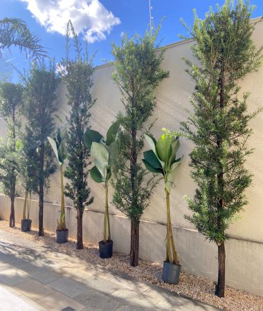 WhatsApp Image 2023-05-26 at 07.15.54 (1)