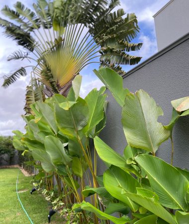 WhatsApp Image 2023-05-26 at 07.15.54