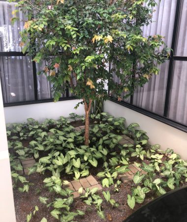 WhatsApp Image 2023-05-26 at 07.15.55 (1)