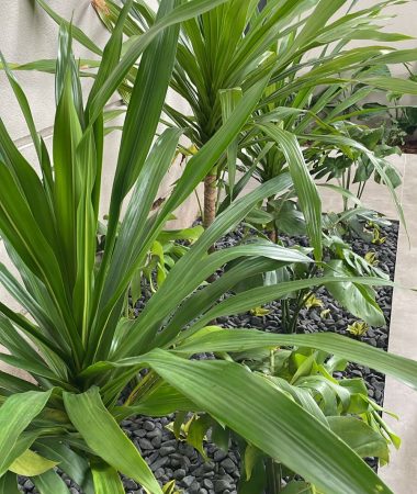 WhatsApp Image 2023-05-26 at 07.15.56 (1)