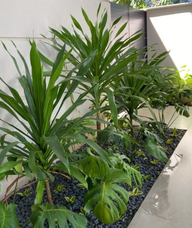 WhatsApp Image 2023-05-26 at 07.15.57 (1)