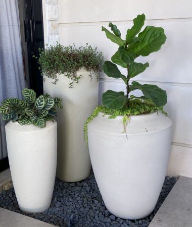 WhatsApp Image 2023-05-26 at 07.15.57