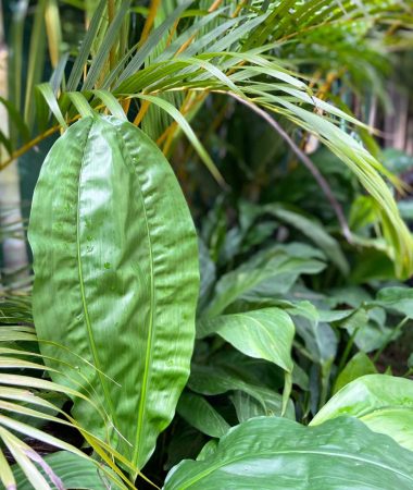 WhatsApp Image 2023-05-26 at 07.16.00 (1)