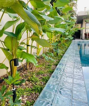 WhatsApp Image 2023-05-26 at 07.16.00