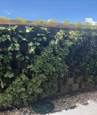 WhatsApp Image 2023-05-26 at 07.16.36 (1)