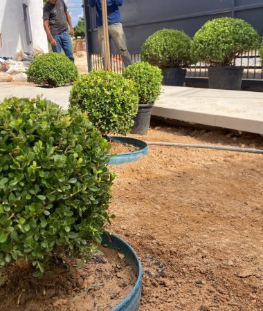 WhatsApp Image 2023-05-26 at 07.16.36