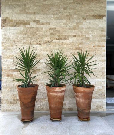 WhatsApp Image 2023-05-26 at 07.17.57