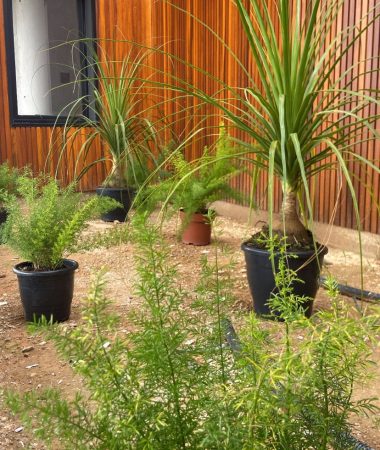 WhatsApp Image 2023-05-26 at 07.17.59