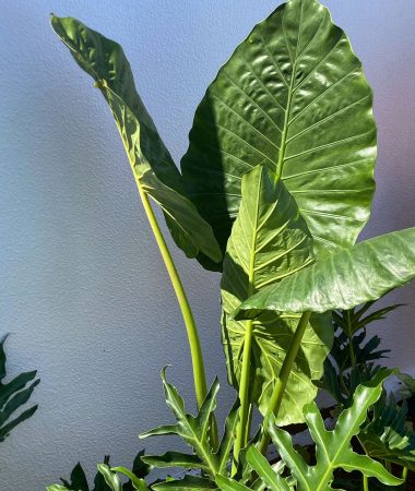 WhatsApp Image 2023-05-26 at 07.20.55