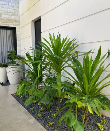 WhatsApp Image 2023-05-26 at 07.21.00