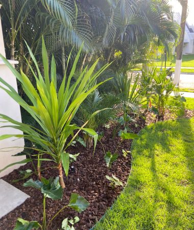 WhatsApp Image 2023-05-26 at 07.21.01