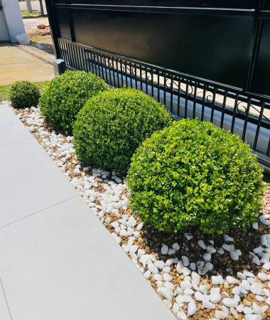 WhatsApp Image 2023-05-26 at 07.21.02 (1)