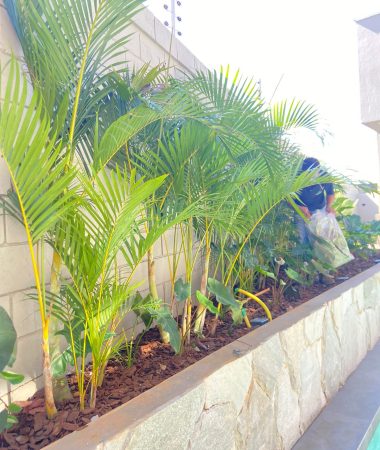 WhatsApp Image 2023-05-26 at 10.25.29 (1)