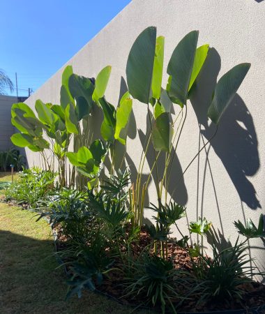 WhatsApp Image 2023-05-26 at 10.25.30