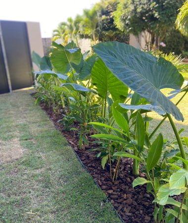 WhatsApp Image 2023-05-26 at 10.25.31 (2)