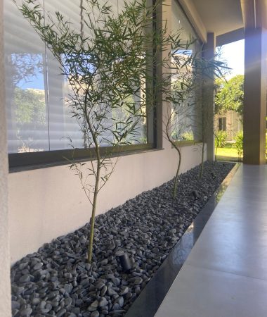 WhatsApp Image 2023-05-26 at 10.25.31 (3)